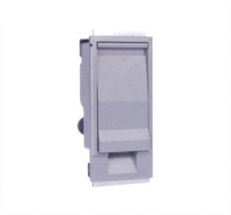 2025新澳门食材大全