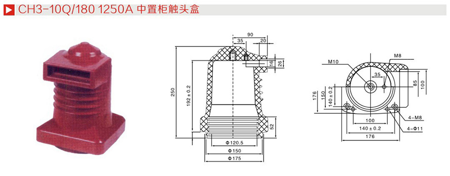 2025新澳门食材大全