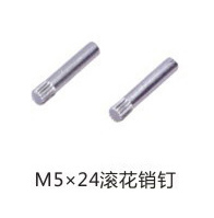 2025新澳门食材大全